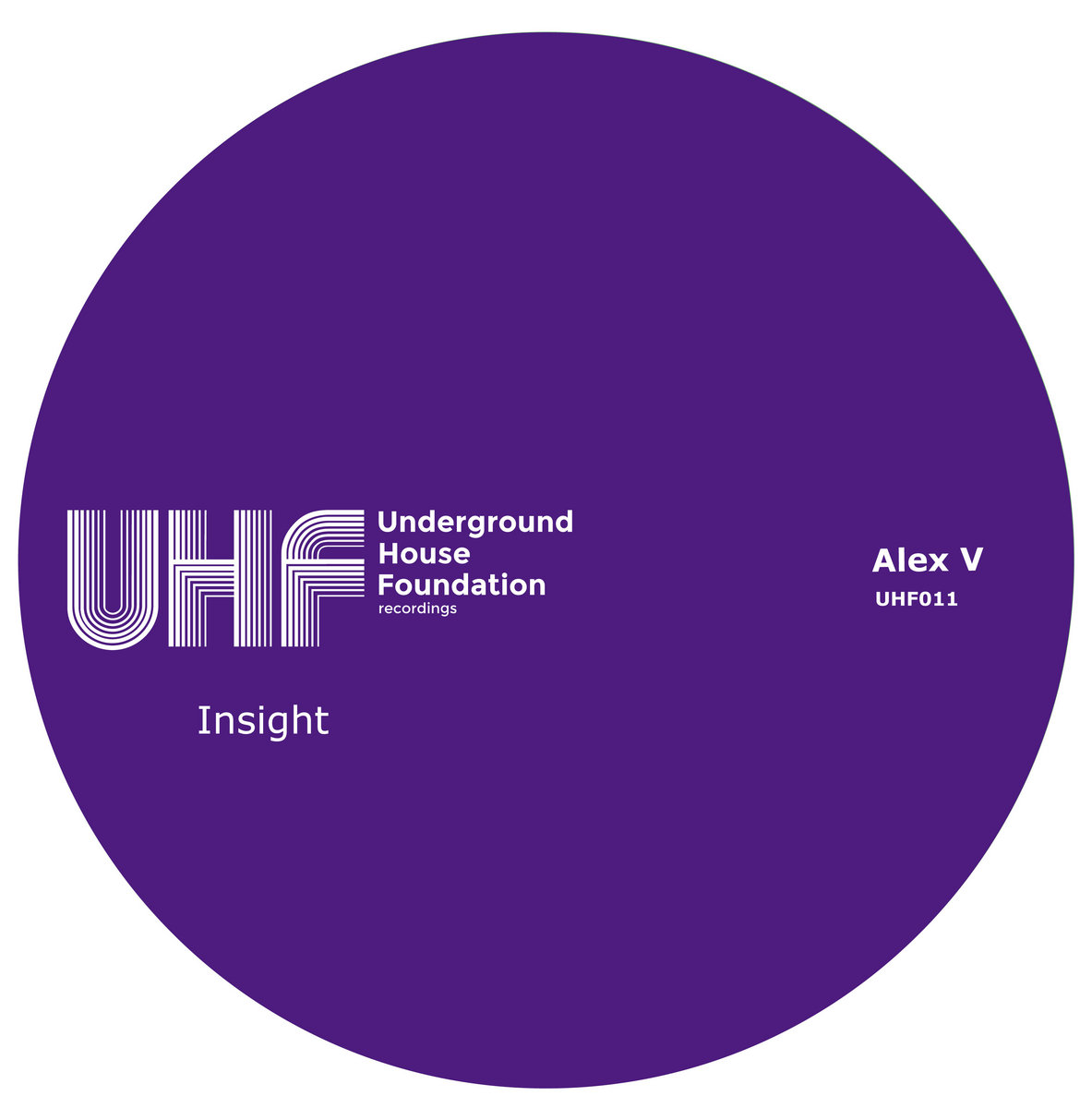 Insight cover